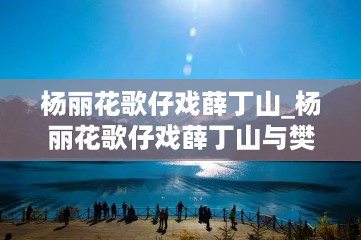 杨丽花歌仔戏薛丁山_杨丽花歌仔戏薛丁山与樊梨花第15集