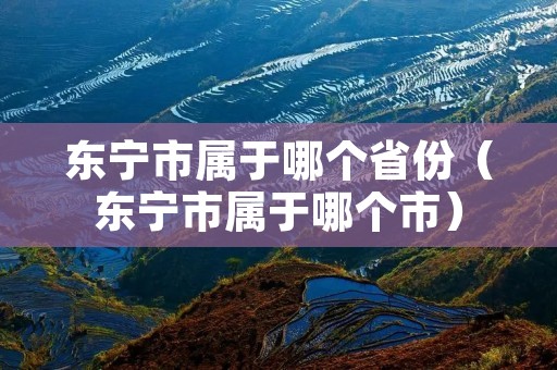 东宁市属于哪个省份（东宁市属于哪个市）