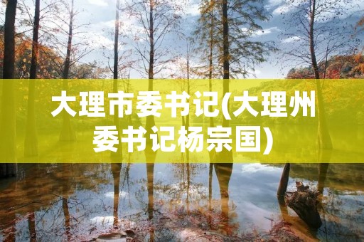 大理市委书记(大理州委书记杨宗国) 大理市委书记(大理州委书记杨宗国)