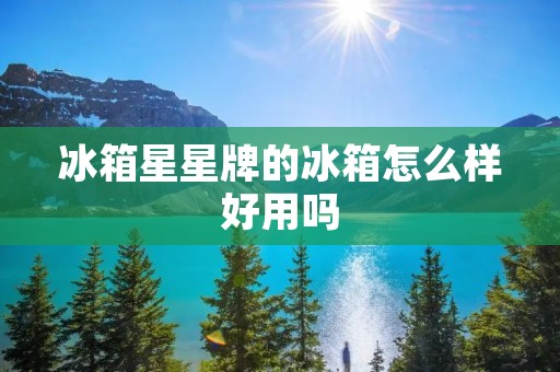 冰箱星星牌的冰箱怎么样好用吗