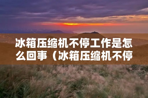 冰箱压缩机不停工作是怎么回事（冰箱压缩机不停工作是怎么回事呢）