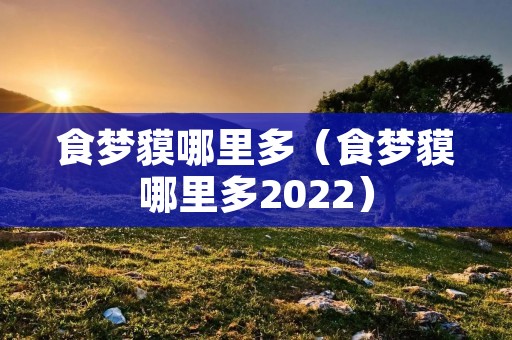 食梦貘哪里多（食梦貘哪里多2022）