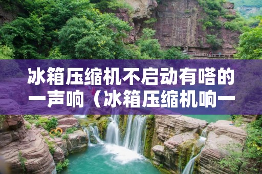 冰箱压缩机不启动有嗒的一声响（冰箱压缩机响一下不启动是什么问题）