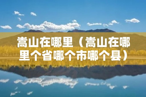 嵩山在哪里（嵩山在哪里个省哪个市哪个县）