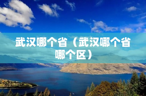 武汉哪个省（武汉哪个省哪个区）