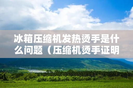 冰箱压缩机发热烫手是什么问题（压缩机烫手证明压缩机正常吗）