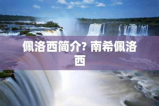 佩洛西简介? 南希佩洛西