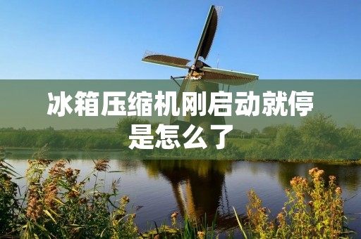 冰箱压缩机刚启动就停是怎么了