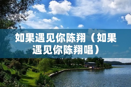 如果遇见你陈翔（如果遇见你陈翔唱）