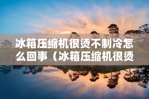 冰箱压缩机很烫不制冷怎么回事（冰箱压缩机很烫但是不制冷是什么原因）
