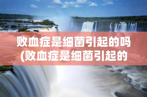 败血症是细菌引起的吗(败血症是细菌引起的吗女性) 败血症是细菌引起的吗(败血症是细菌引起的吗女性)