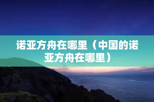 诺亚方舟在哪里（中国的诺亚方舟在哪里）