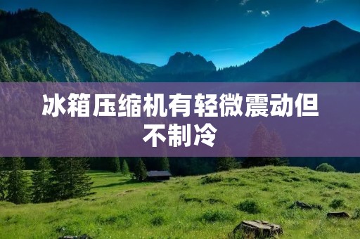 冰箱压缩机有轻微震动但不制冷