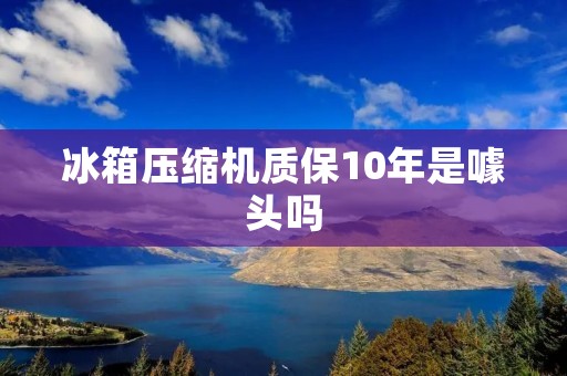 冰箱压缩机质保10年是噱头吗 冰箱压缩机质保10年是噱头吗