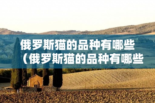 俄罗斯猫的品种有哪些(俄罗斯猫的品种有哪些种类) 俄罗斯猫的品种有哪些(俄罗斯猫的品种有哪些种类)