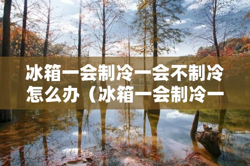 冰箱一会制冷一会不制冷怎么办(冰箱一会制冷一会不制冷怎么办呀) 冰箱一会制冷一会不制冷怎么办(冰箱一会制冷一会不制冷怎么办呀)