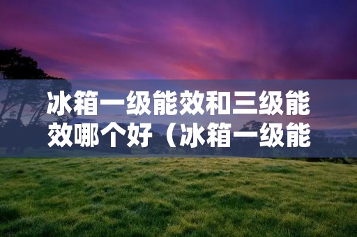 冰箱一级能效和三级能效哪个好（冰箱一级能效和三级能效哪个好?）