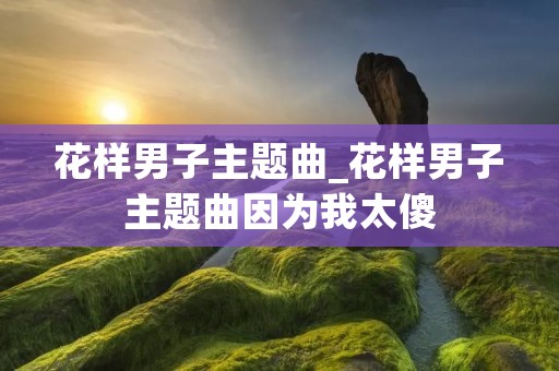花样男子主题曲_花样男子主题曲因为我太傻