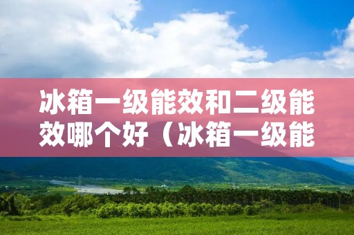 冰箱一级能效和二级能效哪个好(冰箱一级能效和二级能效哪个好点) 冰箱一级能效和二级能效哪个好(冰箱一级能效和二级能效哪个好点)