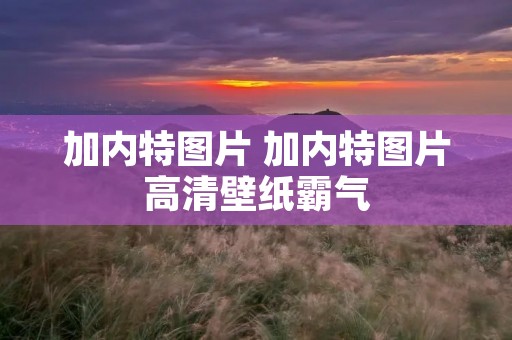 加内特图片 加内特图片高清壁纸霸气