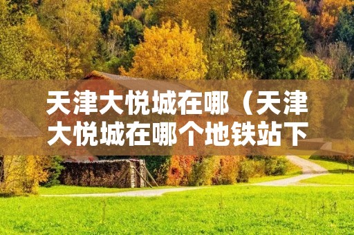 天津大悦城在哪（天津大悦城在哪个地铁站下）