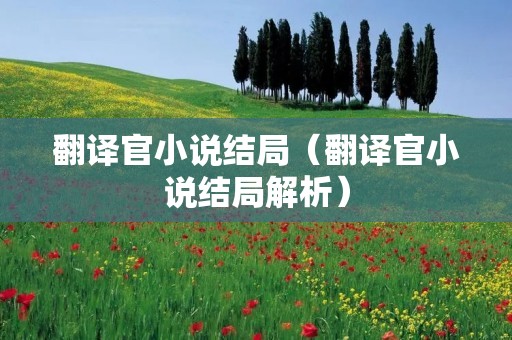 翻译官小说结局（翻译官小说结局解析）