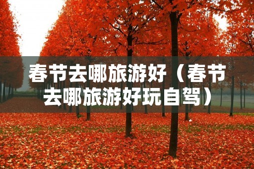 春节去哪旅游好(春节去哪旅游好玩自驾) 春节去哪旅游好(春节去哪旅游好玩自驾)