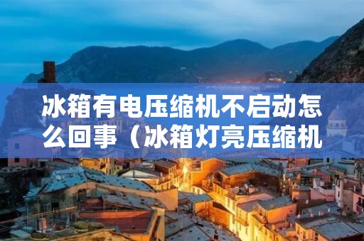 冰箱有电压缩机不启动怎么回事(冰箱灯亮压缩机不启动)