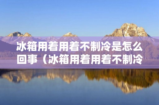 冰箱用着用着不制冷是怎么回事(冰箱用着用着不制冷是怎么回事视频)