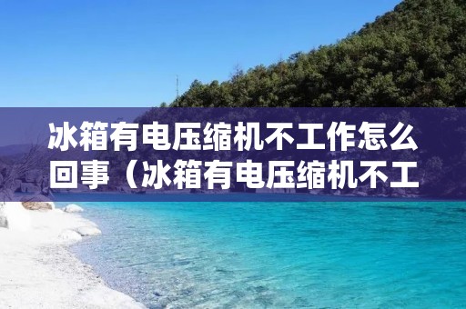 冰箱有电压缩机不工作怎么回事(冰箱有电压缩机不工作怎么回事儿)