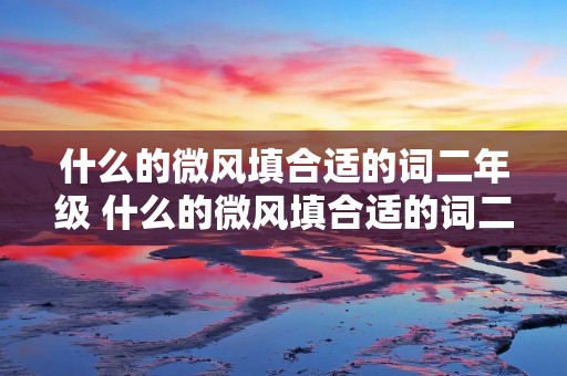 什么的微风填合适的词二年级 什么的微风填合适的词二年级上册