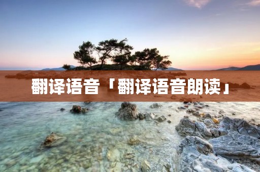 翻译语音「翻译语音朗读」
