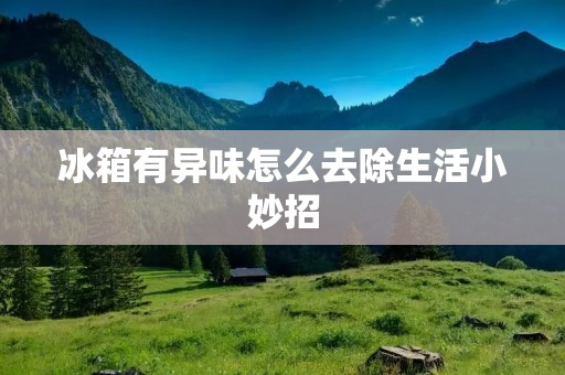 冰箱有异味怎么去除生活小妙招