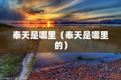 奉天是哪里（奉天是哪里的）