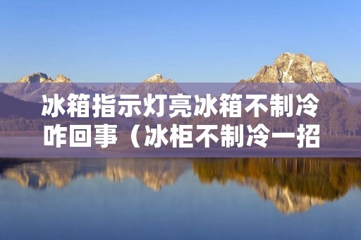 冰箱指示灯亮冰箱不制冷咋回事（冰柜不制冷一招搞定）
