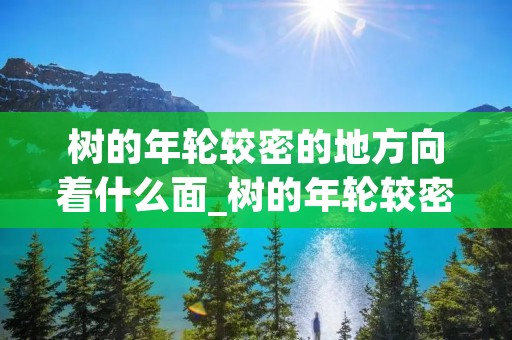 树的年轮较密的地方向着什么面_树的年轮较密的地方向着什么面,朝那一边的窗户 树的年轮较密的地方向着什么面_树的年轮较密的地方向着什么面,朝那一边的窗户