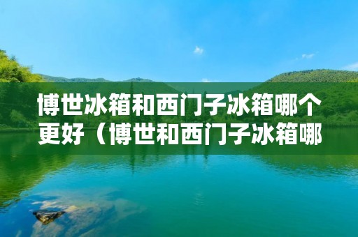 博世冰箱和西门子冰箱哪个更好（博世和西门子冰箱哪个高端）