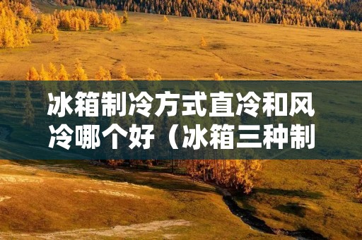 冰箱制冷方式直冷和风冷哪个好（冰箱三种制冷方式哪个好）