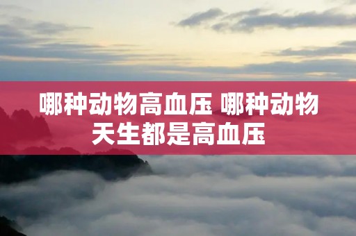 哪种动物高血压 哪种动物天生都是高血压 哪种动物高血压 哪种动物天生都是高血压