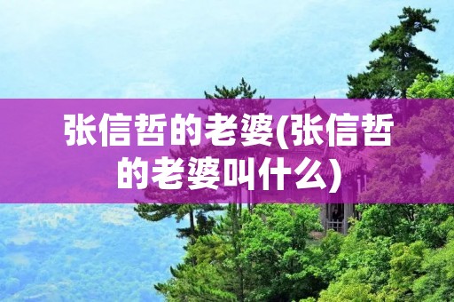 张信哲的老婆(张信哲的老婆叫什么)