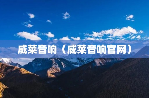 威莱音响（威莱音响官网）