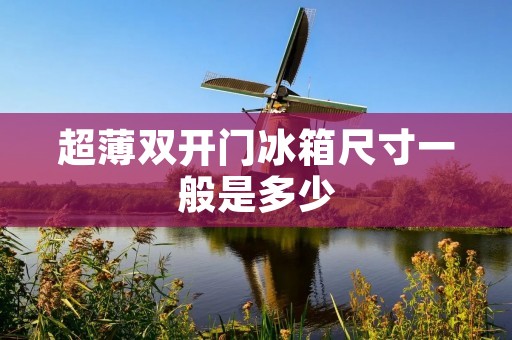 超薄双开门冰箱尺寸一般是多少