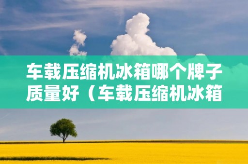 车载压缩机冰箱哪个牌子质量好（车载压缩机冰箱哪个牌子质量好些）