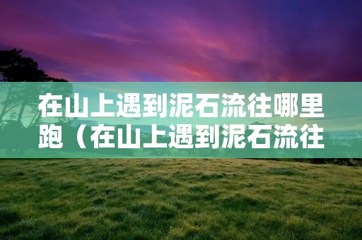 在山上遇到泥石流往哪里跑(在山上遇到泥石流往哪边跑) 在山上遇到泥石流往哪里跑(在山上遇到泥石流往哪边跑)