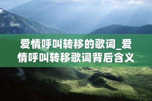 爱情呼叫转移的歌词_爱情呼叫转移歌词背后含义
