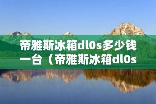 帝雅斯冰箱dl0s多少钱一台（帝雅斯冰箱dl0s多少钱一台新的）