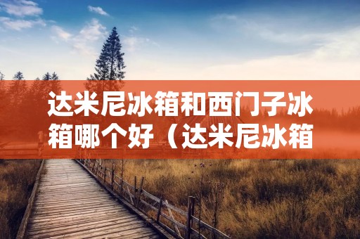 达米尼冰箱和西门子冰箱哪个好（达米尼冰箱和西门子冰箱哪个好些）
