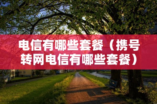 电信有哪些套餐（携号转网电信有哪些套餐）