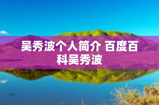 吴秀波个人简介 百度百科吴秀波