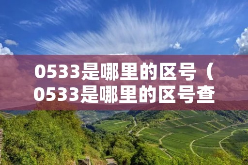 0533是哪里的区号（0533是哪里的区号查询）